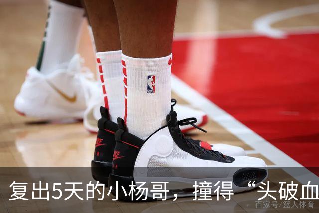 复出5天的小杨哥，撞得“头破血流”